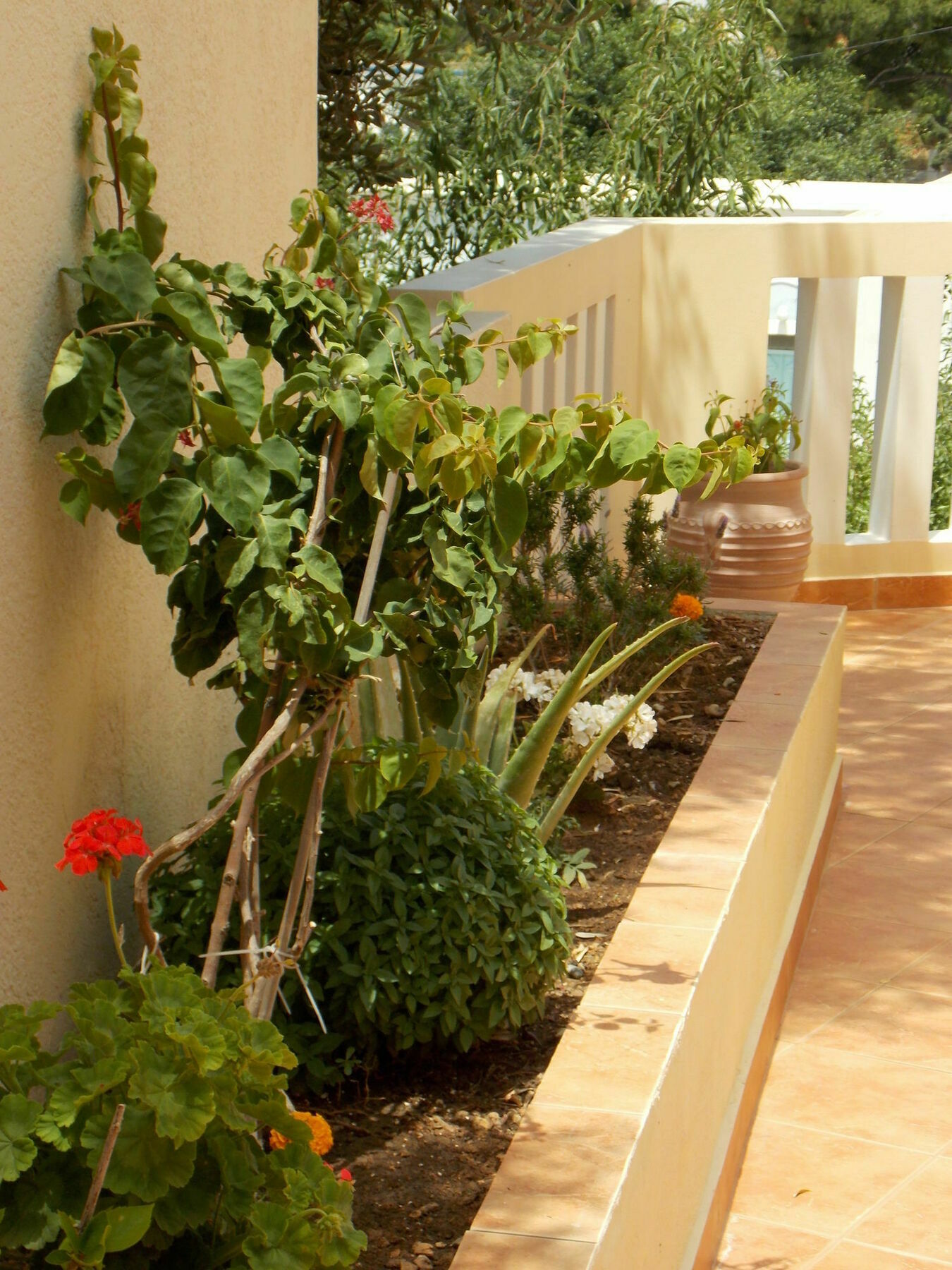 Myrties Boutique Apartments Masouri Exteriér fotografie